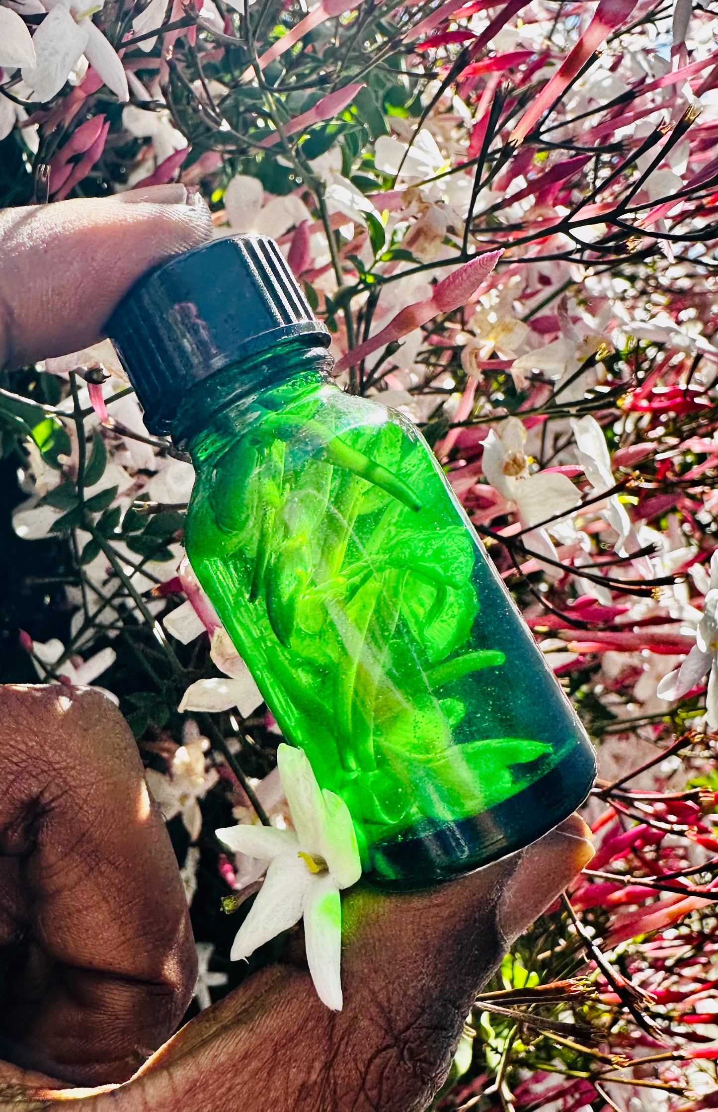 Queen Jasmine Oil (Green Bottle)