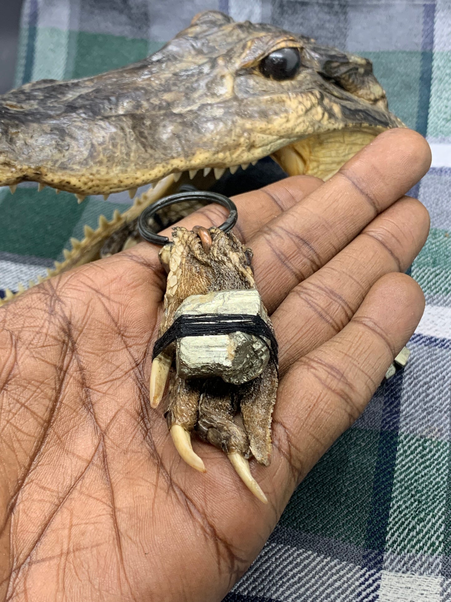 Lucky Gator Paw w/ Pyrite